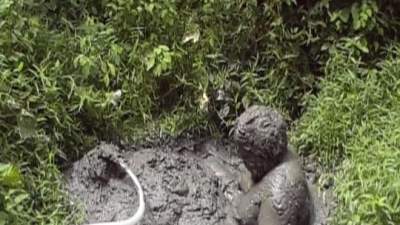 nasty-swamp-mud-encounter_7.jpg
